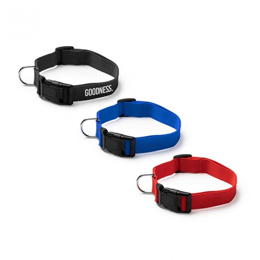 Нашийник с ваш текст