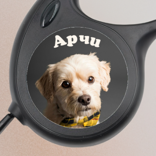 Автоматичен повод със снимка и името на вашия любимец