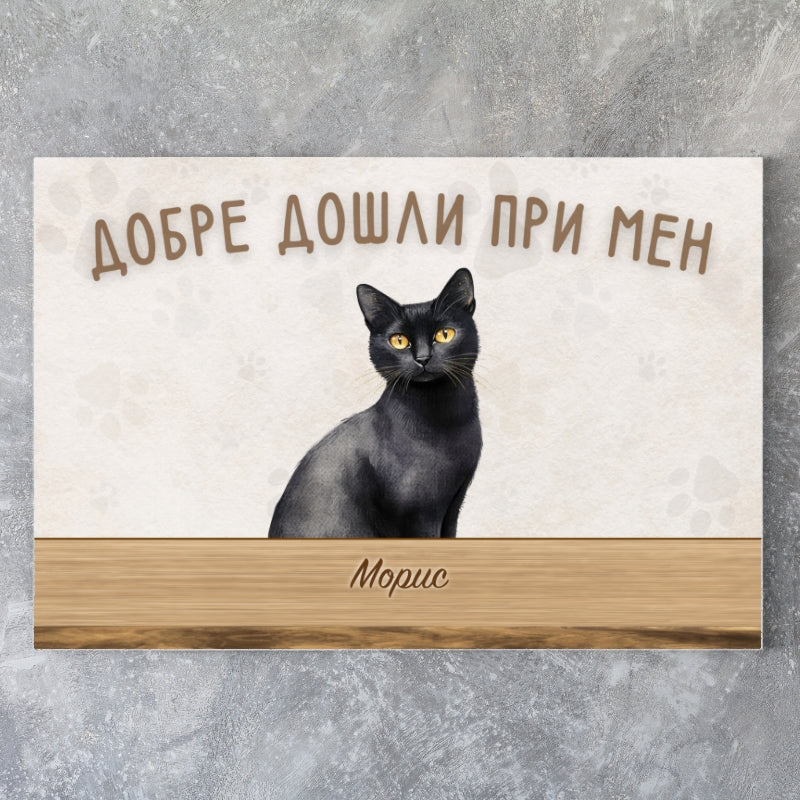 Картина с аватар на вашата котка - добре дошли при мен