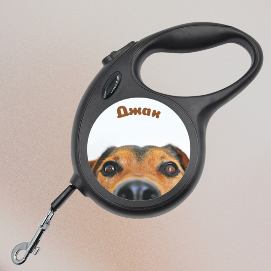 Автоматичен повод със снимка и името на вашия любимец