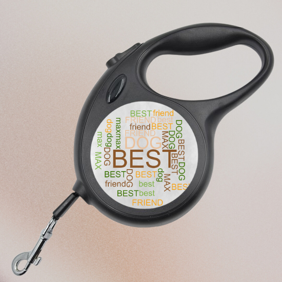 Автоматичен повод  - облак от думи